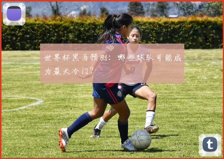 世界杯黑马预测：哪些球队可能成为最大冷门？